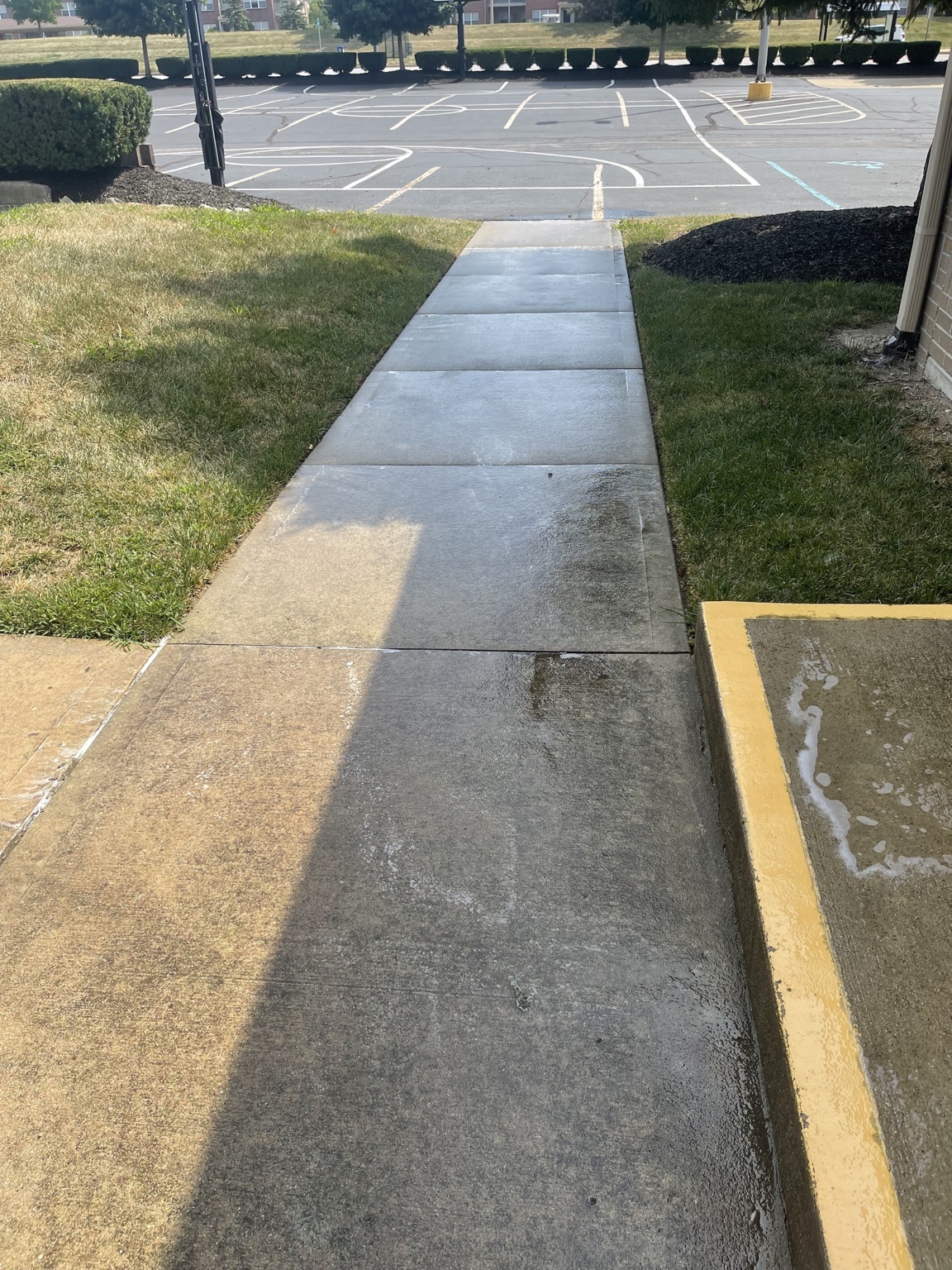 Dirty sidewalk before pressure washing