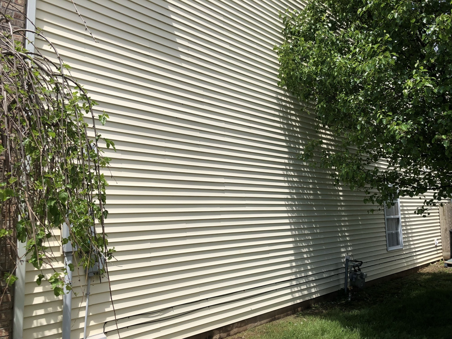 Vinyl siding after algae removal