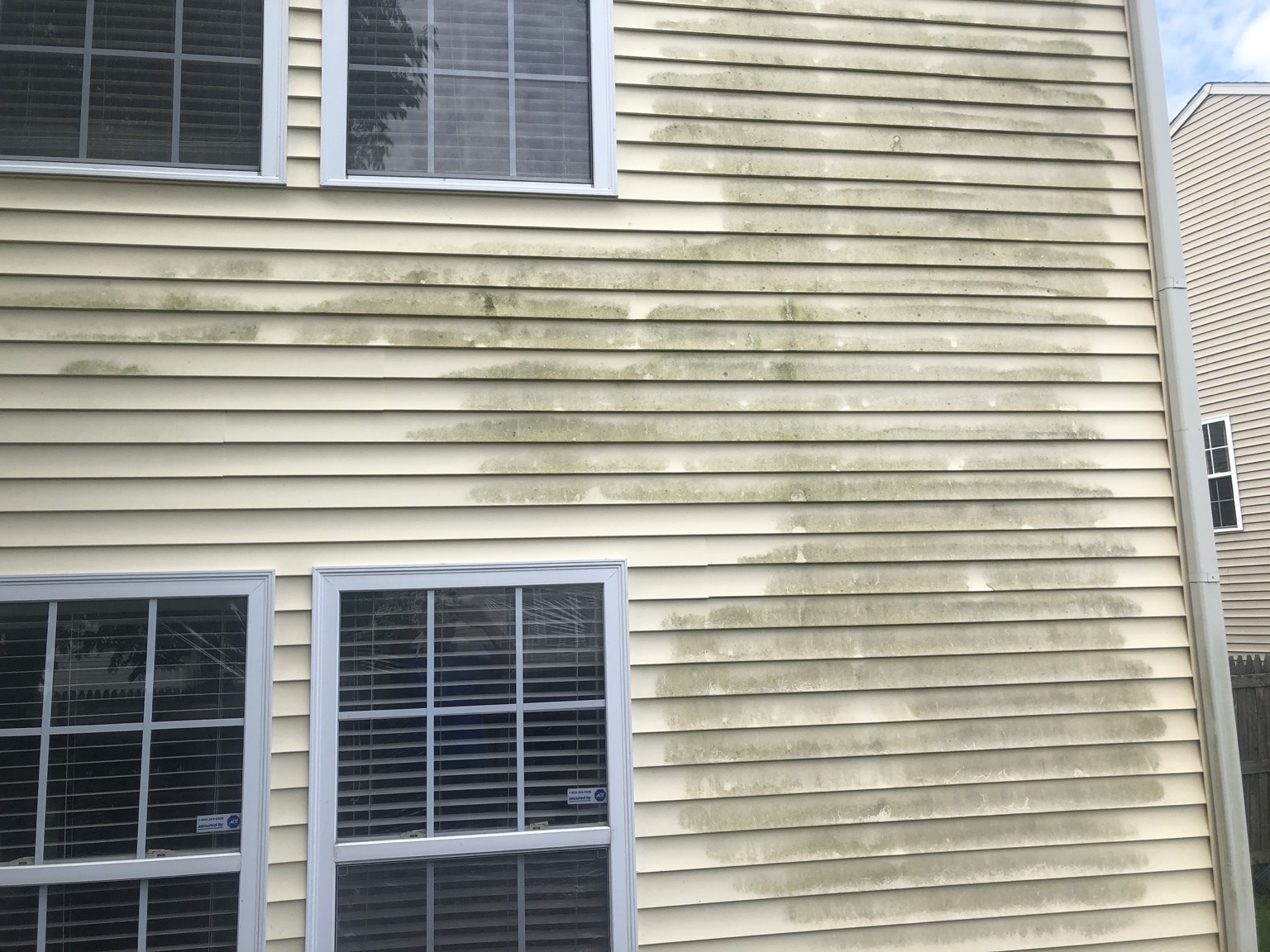 Green algae on vinyl siding before cleaning
